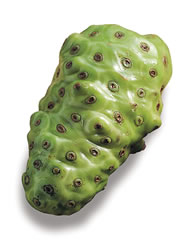 Was ist die Noni? - Morinda Citrifolia Noni Video